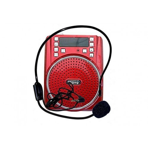 Ridgeway SPE-558A Bluetooth FM Portable Radio Speaker Rechargeable USB SD AUX