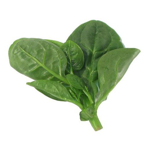 200 Treated Indian Big Leaves Spinach Hybrid Seeds