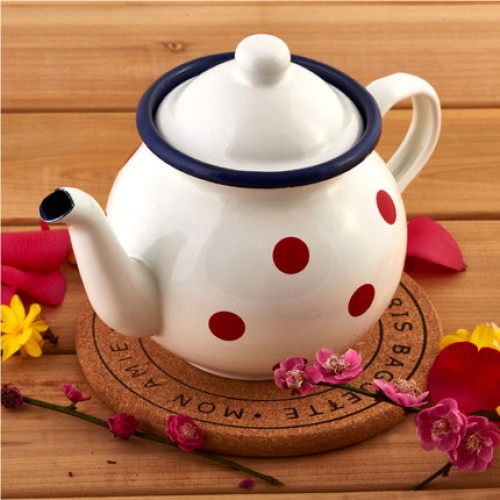 ZHENWEN Polka Dot Enamel Teapot Coffee Pot