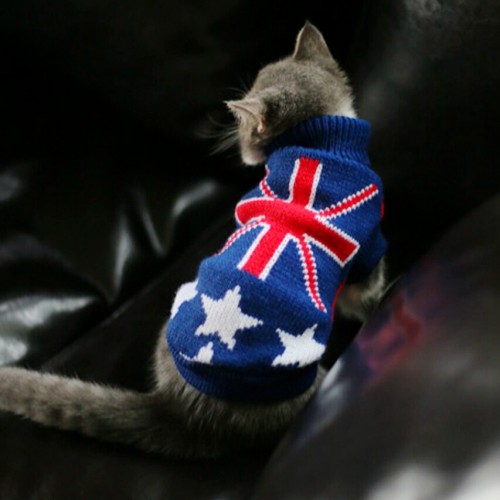 British flag sweater pet sweater for and cats