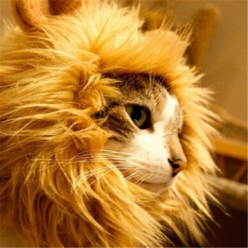 Hat costume cats wigs Cool Pets Lion hat Wigs Mane Hair costume Festival Party Fancy